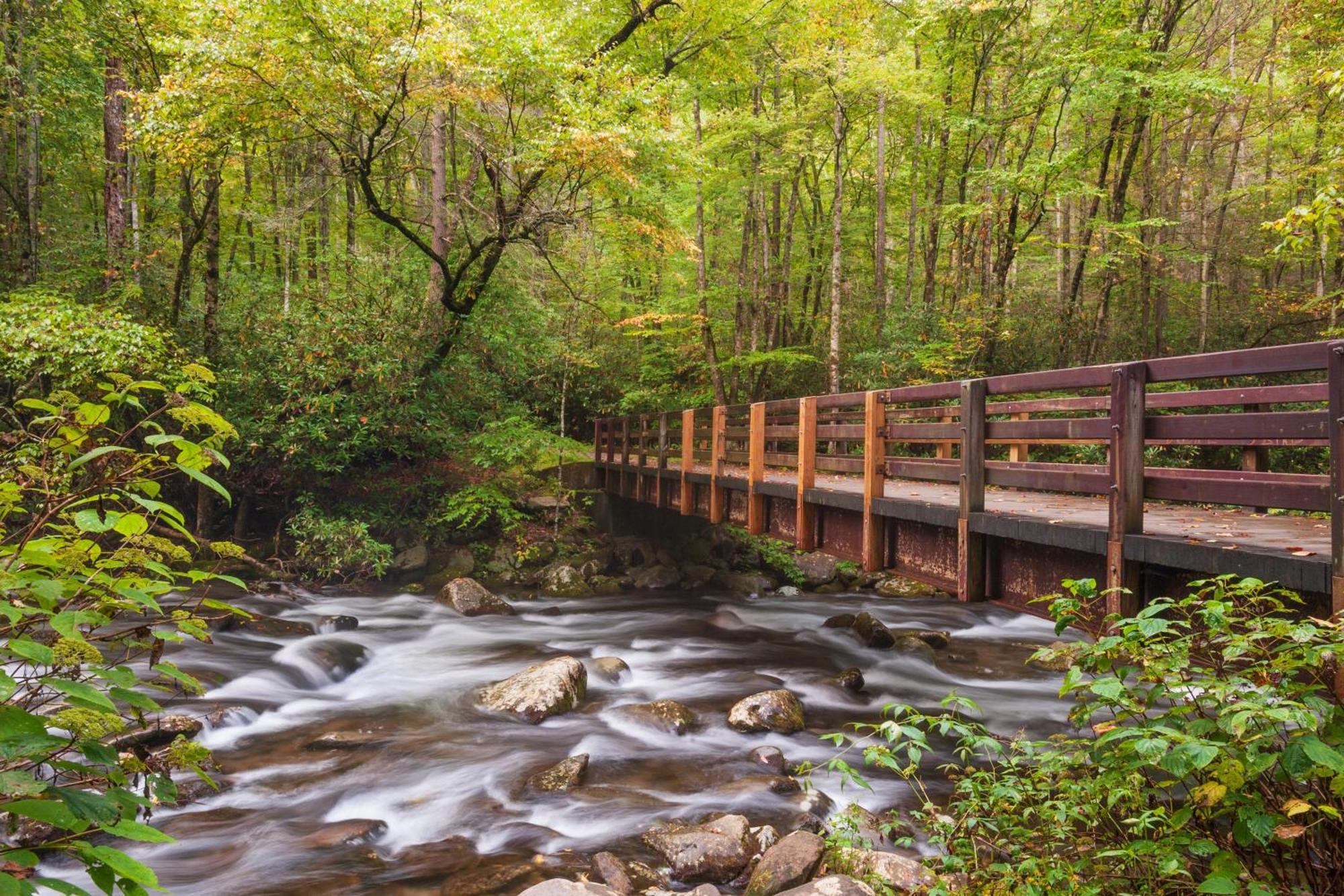 Ober Hideaway, Hot Tub, Wifi, 1089 Free Tickets Each Paid Day, Dollywood And More 개틀린버그 외부 사진
