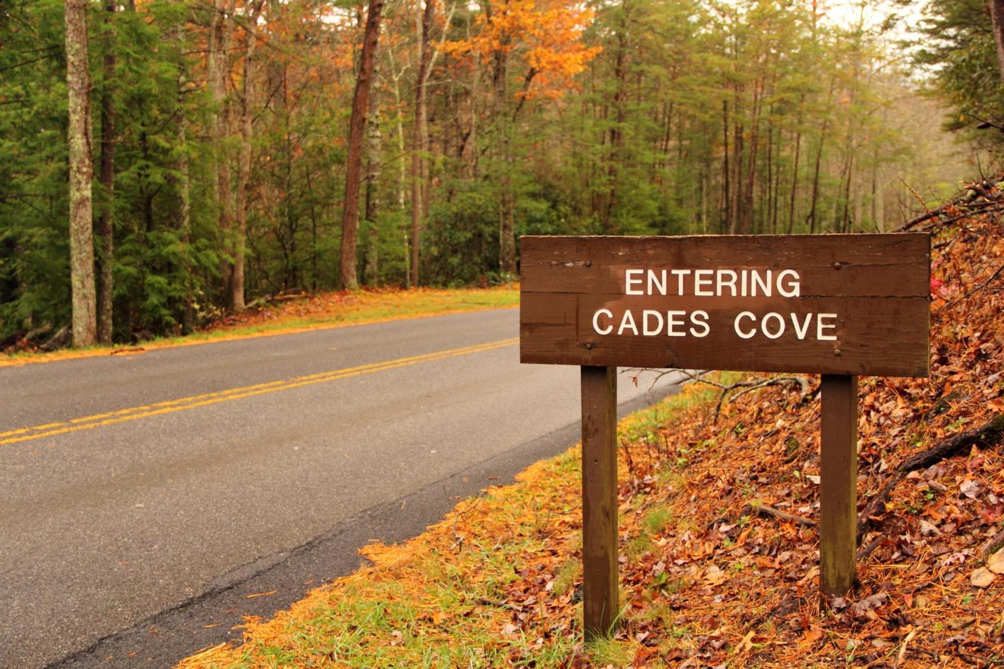 Ober Hideaway, Hot Tub, Wifi, 1089 Free Tickets Each Paid Day, Dollywood And More 개틀린버그 외부 사진